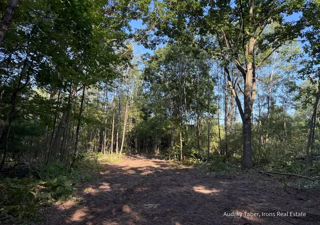 Photo 3 of Land for sale at Par 3 Clements Rd, Kaleva, MI 49645 | MLS# 70557978 | Listing updated on 2026-09-11