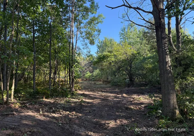 Photo 3 of Land for sale at Par 3 Clements Rd, Kaleva, MI 49645 | MLS# 70557978 | Listing updated on 2026-09-11