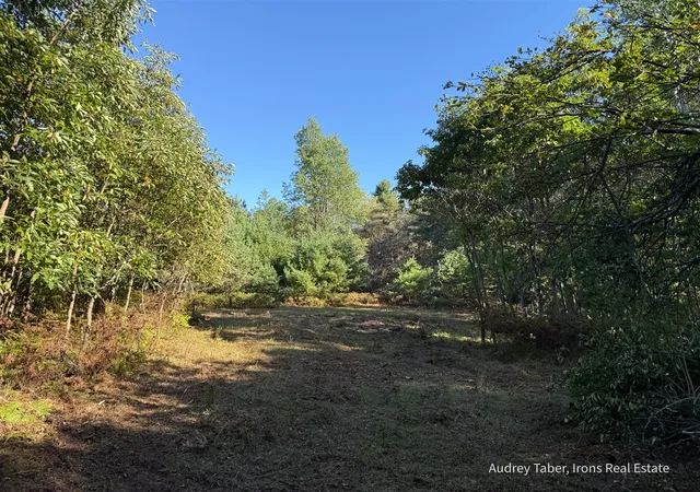 Photo 4 of Land for sale at Par 3 Clements Rd, Kaleva, MI 49645 | MLS# 70557978 | Listing updated on 2026-09-11