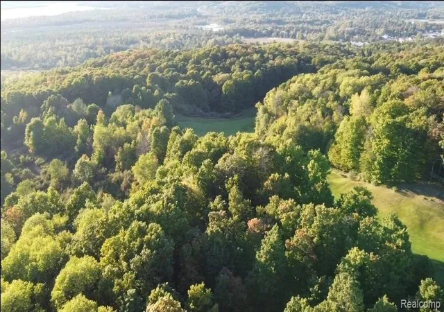 Photo 4 of Land for sale at 00 Shanty Crk Rd, Bellaire, MI 49615 | MLS# 60946579 | Listing updated on 2026-09-02
