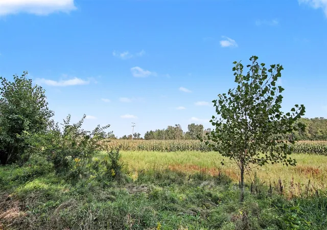 Photo 4 of Sale Pending at 0 Zieman Rd, Maybee, MI 48159 | MLS# 70556795 | Listing updated on 2026-09-19