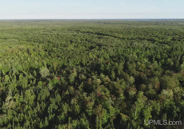 Land for sale at 240 Acres Cooper Rd, Gulliver, MI 49840 | MLS# 50221861