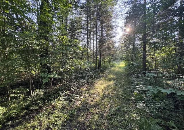 Photo 1 of Sale Pending at Channel Lake Rd, West Branch, MI 48661 | MLS# 70552300 | Listing updated on 2026-09-02