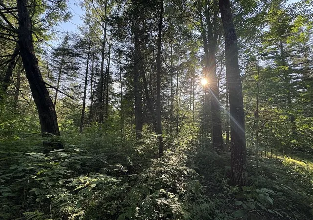 Photo 2 of Sale Pending at Channel Lake Rd, West Branch, MI 48661 | MLS# 70552300 | Listing updated on 2026-09-02