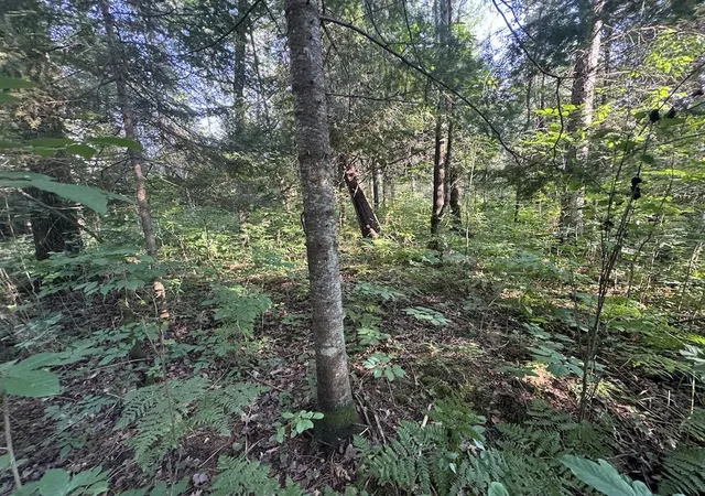 Photo 3 of Sale Pending at Channel Lake Rd, West Branch, MI 48661 | MLS# 70552300 | Listing updated on 2026-09-02