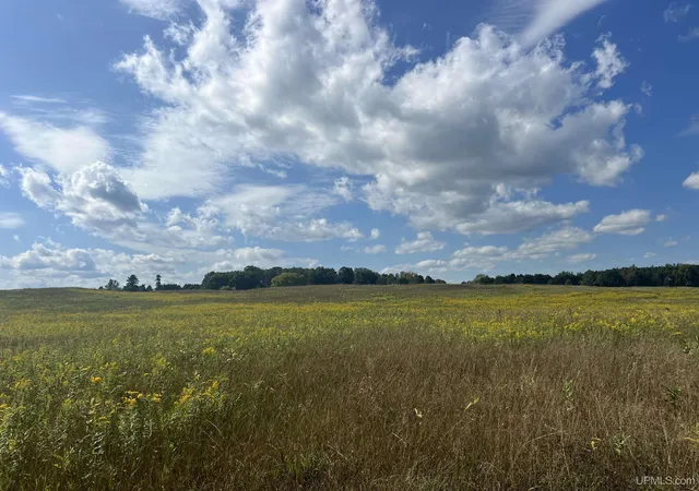 Photo 3 of Sale Pending at Tbd 16th Lane, Bark River, MI 49807 | MLS# 50220636 | Listing updated on 2026-09-08