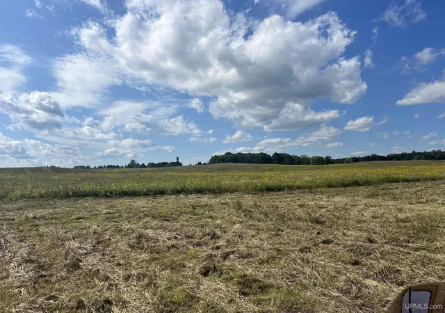 Photo 4 of Sale Pending at Tbd 16th Lane, Bark River, MI 49807 | MLS# 50220636 | Listing updated on 2026-09-08