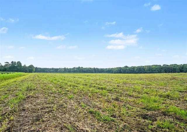 Photo 4 of Land for sale at Vl County Rd 687, Bangor, MI 49013 | MLS# 70556615 | Listing updated on 2026-09-10