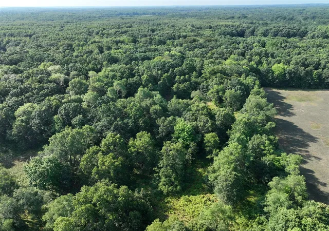 Photo 2 of Land for sale at 6539 E Madison Rd, Walkerville, MI 49459 | MLS# 70561221 | Listing updated on 2026-10-10