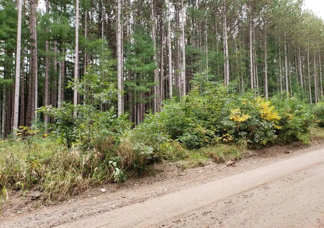 Photo 1 of Sale Pending at V/l Lakola Rd, Le Roy, MI 49655 | MLS# 70514431 | Listing updated on 2026-09-02
