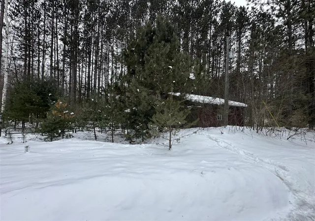 Photo 4 of Sale Pending at V/l Lakola Rd, Le Roy, MI 49655 | MLS# 70514431 | Listing updated on 2026-09-02