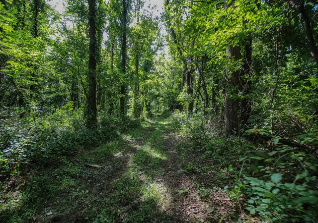 Land for sale at V/l Millard Rd, Three Rivers, MI 49093 | MLS# 70558717