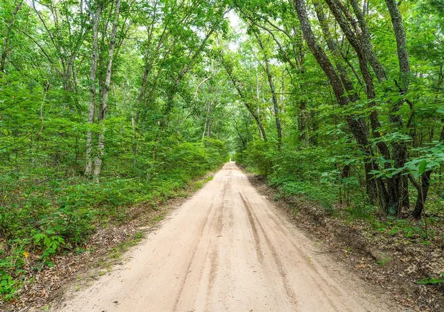 Photo 4 of Land for sale at 4994 130th Avenue, Hamilton, MI 49419 | MLS# 70555900 | Listing updated on 2026-09-03