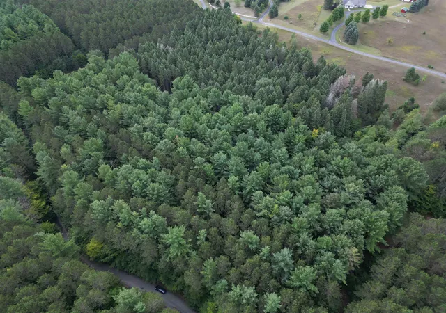 Photo 1 of Land for sale at 0000 W Timber Ln, Empire, MI 49630 | MLS# 80073138 | Listing updated on 2026-09-05