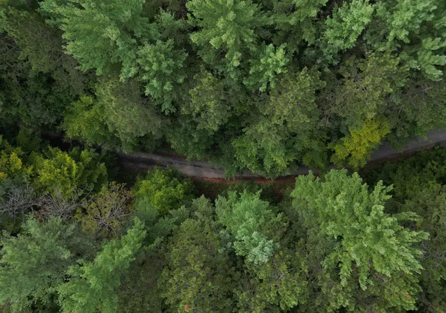 Photo 2 of Land for sale at 0000 W Timber Ln, Empire, MI 49630 | MLS# 80073138 | Listing updated on 2026-09-05