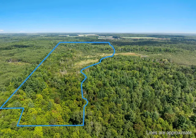 Photo 1 of Land for sale at 4517 SE Pierson Crk Rd, Kalkaska, MI 49646 | MLS# 80073239 | Listing updated on 2026-09-07