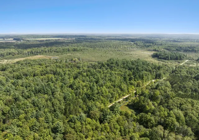 Photo 4 of Land for sale at 4517 SE Pierson Crk Rd, Kalkaska, MI 49646 | MLS# 80073239 | Listing updated on 2026-09-07