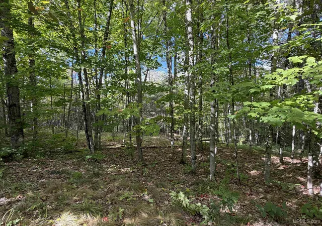 Land for sale at W 40 +/- Acres 2116 US 41 Hwy, Michigamme, MI 49861 | MLS# 50221884