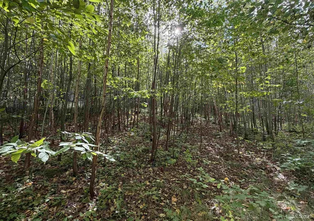 Photo 2 of Land for sale at W 40 +/  Acres 2116 Us 41 Hwy, Michigamme, MI 49861 | MLS# 50221884 | Listing updated on 2026-09-16