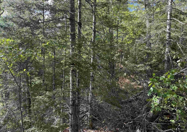 Photo 3 of Land for sale at W 40 +/  Acres 2116 Us 41 Hwy, Michigamme, MI 49861 | MLS# 50221884 | Listing updated on 2026-09-16