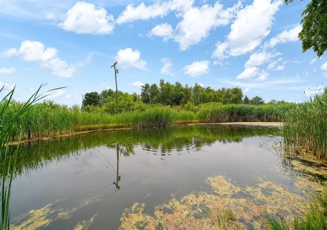 Photo 4 of Land for sale at 5550 E Carleton Rd, Palmyra, MI 49268 | MLS# 70556319 | Listing updated on 2026-09-17