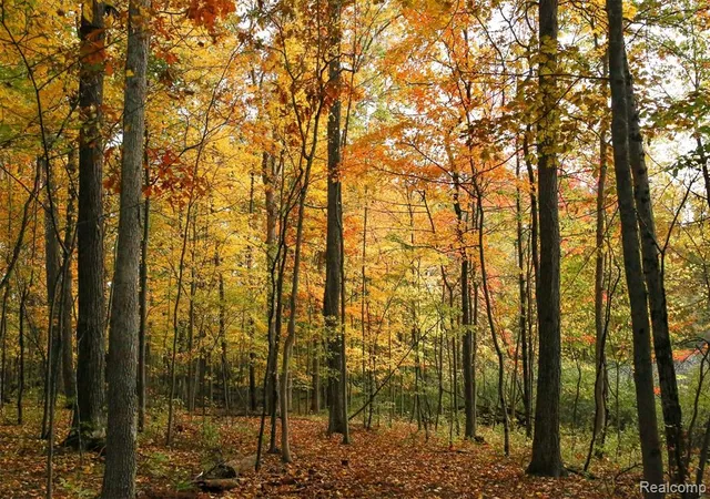 Land for sale at 5555 Mast Rd, Dexter, MI 48130 | MLS# 61025264