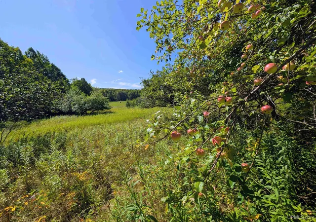 Land for sale at 34 Acres Chicagon Mine Rd, Iron River, MI 49935 | MLS# 50221448
