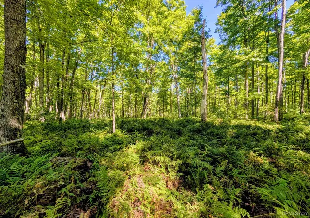 Photo 2 of Land for sale at 34 Acres Chicagon Mine Rd, Iron River, MI 49935 | MLS# 50221448 | Listing updated on 2026-09-10