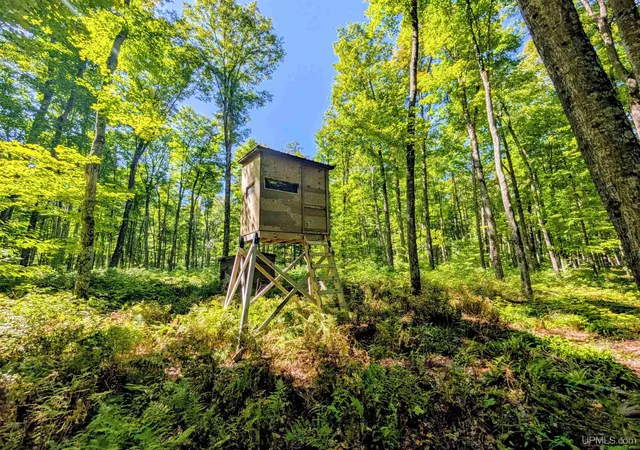 Photo 3 of Land for sale at 34 Acres Chicagon Mine Rd, Iron River, MI 49935 | MLS# 50221448 | Listing updated on 2026-09-10
