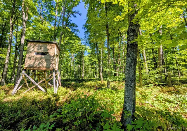 Photo 4 of Land for sale at 34 Acres Chicagon Mine Rd, Iron River, MI 49935 | MLS# 50221448 | Listing updated on 2026-09-10