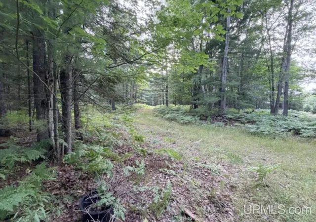 Land for sale at 916 Silver Crk Rd, Marquette, MI 49855 | MLS# 50218146