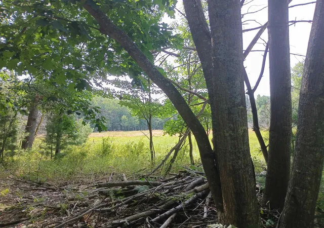 Photo 4 of Land for sale at V/l Wallaker Rd, Benzonia, MI 49617 | MLS# 80073029 | Listing updated on 2026-09-01