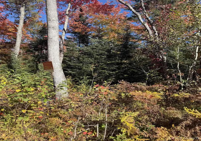 Photo 2 of Land for sale at Tbd41 Iron Belle Trl, Covington, MI 49919 | MLS# 50223131 | Listing updated on 2026-09-28