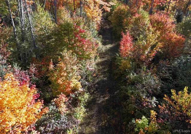 Photo 3 of Land for sale at Tbd41 Iron Belle Trl, Covington, MI 49919 | MLS# 50223131 | Listing updated on 2026-09-28