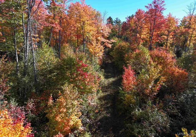 Photo 4 of Land for sale at Tbd41 Iron Belle Trl, Covington, MI 49919 | MLS# 50223131 | Listing updated on 2026-09-28