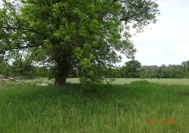 Photo 1 of Land for sale at 550 S Oak Ave, White Cloud, MI 49349 | MLS# 70519440 | Listing updated on 2026-09-10