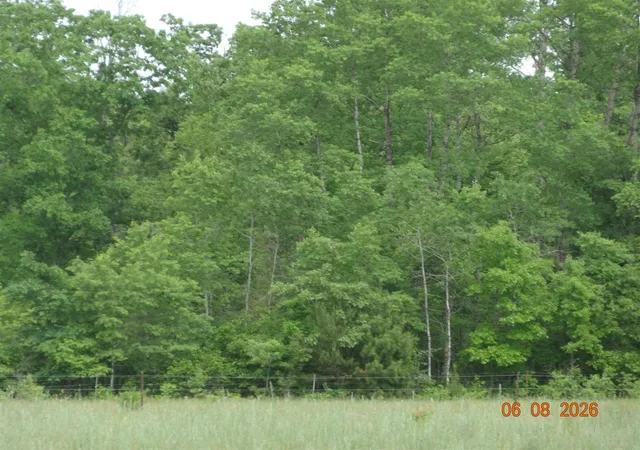 Photo 3 of Sale Pending at 550 S Oak Ave, White Cloud, MI 49349 | MLS# 70519440 | Listing updated on 2026-10-09