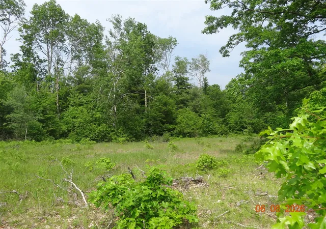 Photo 4 of Sale Pending at 550 S Oak Ave, White Cloud, MI 49349 | MLS# 70519440 | Listing updated on 2026-10-09