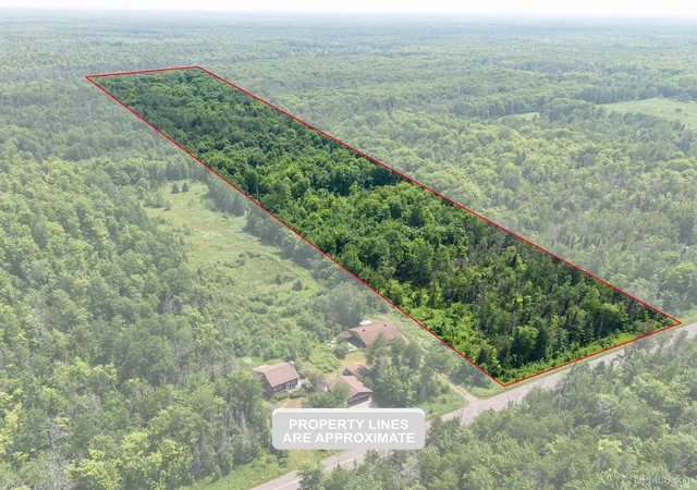 Photo 1 of Land for sale at 20 Acres Tbd Dukes Rd, Skandia, MI 49885 | MLS# 50222405 | Listing updated on 2026-09-21