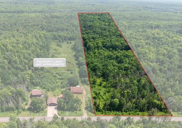 Photo 2 of Land for sale at 20 Acres Tbd Dukes Rd, Skandia, MI 49885 | MLS# 50222405 | Listing updated on 2026-09-21