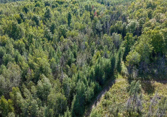 Photo 2 of Land for sale at 1746 Sz Rd, Arnold, MI 49819 | MLS# 50220815 | Listing updated on 2026-09-14
