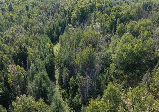 Photo 3 of Land for sale at 1746 Sz Rd, Arnold, MI 49819 | MLS# 50220815 | Listing updated on 2026-09-14