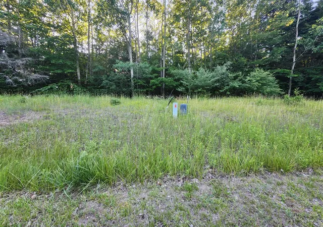 Photo 3 of Land for sale at 9500 Moon Ridge Rd, Onekama, MI 49675 | MLS# 70545770 | Listing updated on 2026-09-08