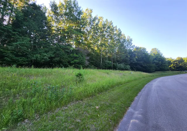 Photo 4 of Land for sale at 9500 Moon Ridge Rd, Onekama, MI 49675 | MLS# 70545770 | Listing updated on 2026-09-08