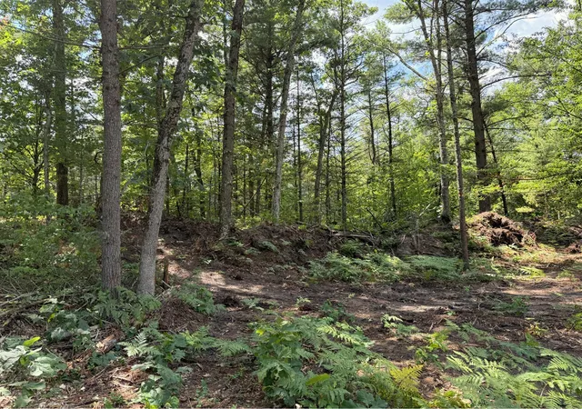 Photo 4 of Sale Pending at Vl Danc Dr, Twin Lake, MI 49457 | MLS# 70550713 | Listing updated on 2026-09-04