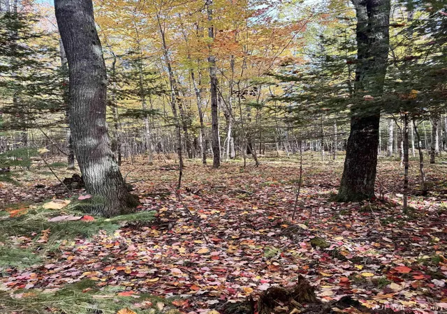 Photo 1 of Sale Pending at Tbd Off 26th Rd, Gladstone, MI 49837 | MLS# 50223981 | Listing updated on 2026-10-13