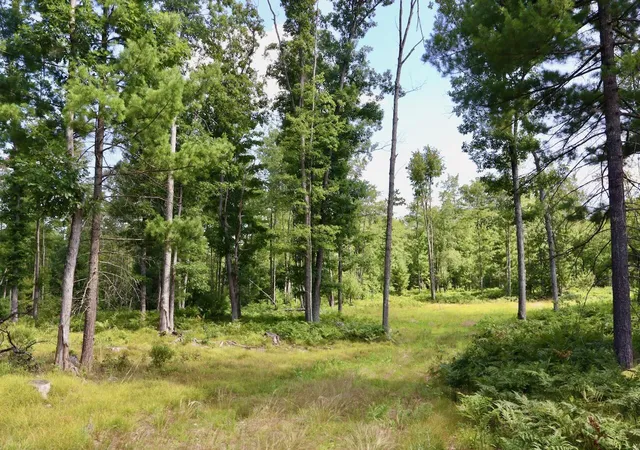 Photo 4 of Land for sale at 07 Dl To Earth Way, Prescott, MI 48756 | MLS# 70548680 | Listing updated on 2026-09-05
