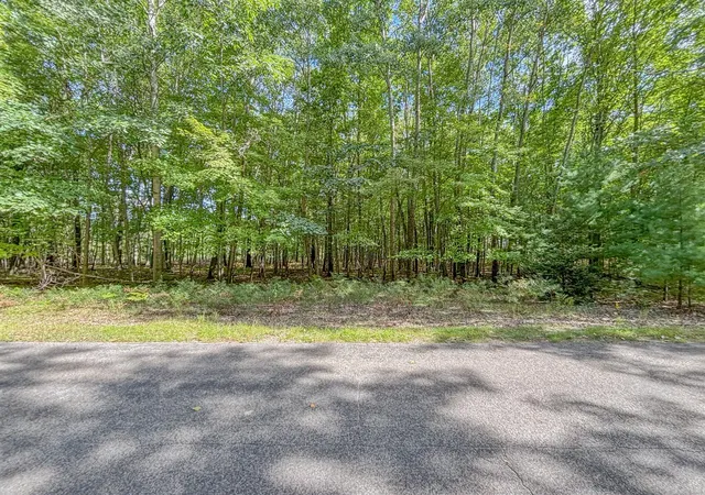 Photo 1 of Land for sale at 6336 Abbey Ln, Stanwood, MI 49346 | MLS# 70561234 | Listing updated on 2026-10-09