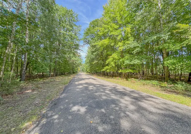 Photo 3 of Land for sale at 6336 Abbey Ln, Stanwood, MI 49346 | MLS# 70561234 | Listing updated on 2026-10-09