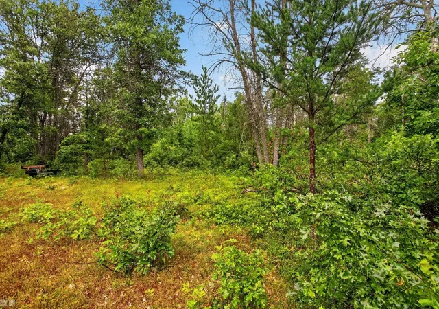 Photo 1 of Sale Pending at 00 Valley Vista Lot A & 13 Dr, Luzerne, MI 48636 | MLS# 50220600 | Listing updated on 2026-09-04